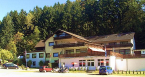 Hotel Finkenberg